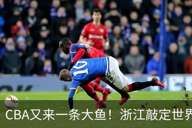 CBA又来一条大鱼！浙江敲定世界杯助攻王，新赛季或掀翻争冠格局
